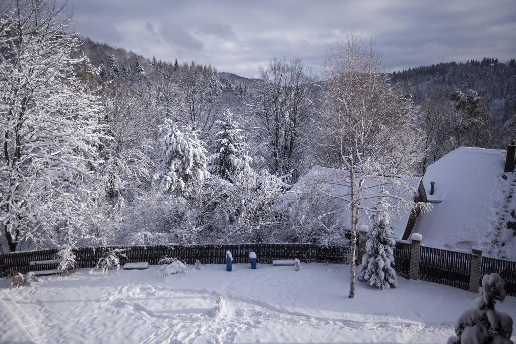 Willa Halinówka Krynica-Zdrój Habitación foto